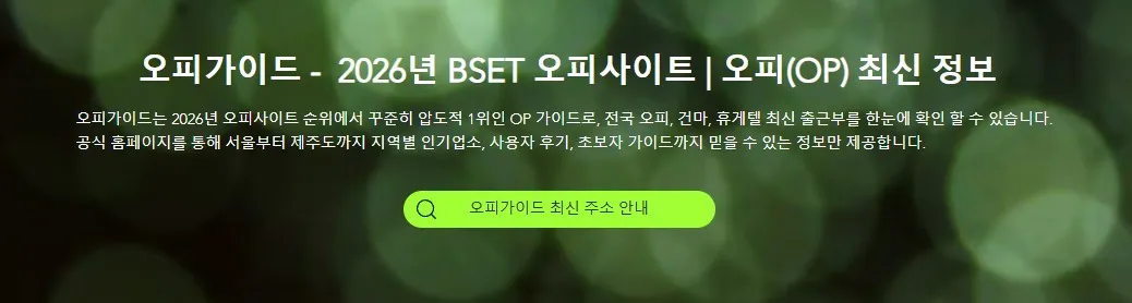 오피사이트 1